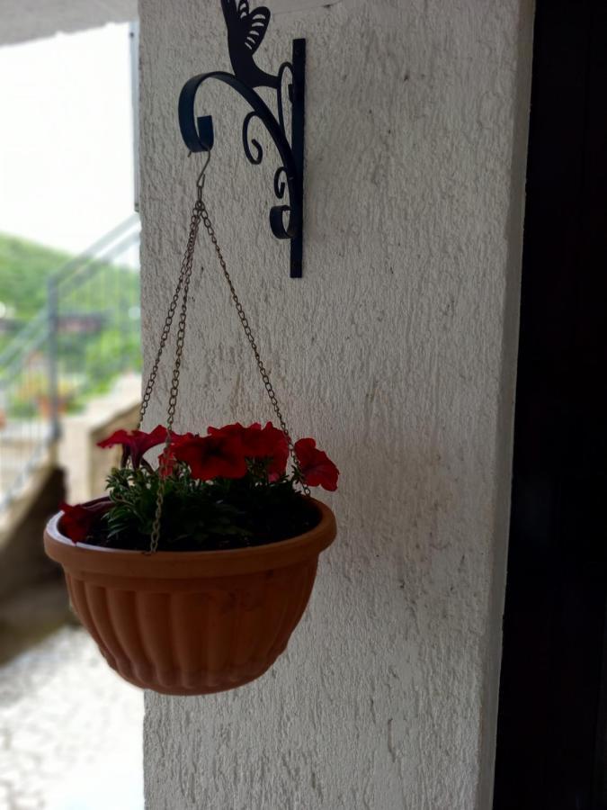 Apartment Ivana Сень Екстер'єр фото